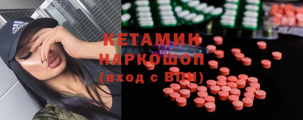 молекула духа Новозыбков