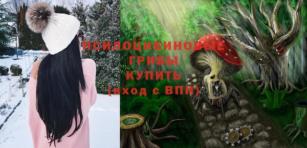 синтетический гашиш Новодвинск