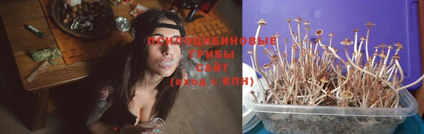 молекула духа Новозыбков