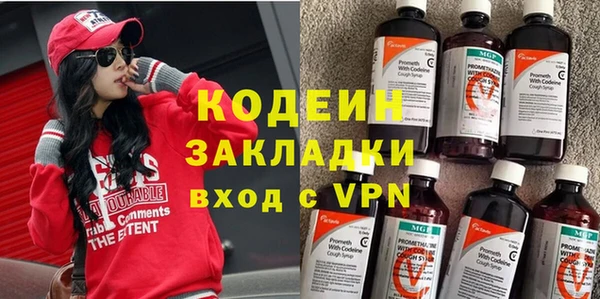 молекула духа Новозыбков