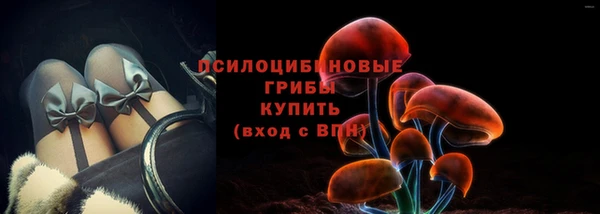 молекула духа Новозыбков