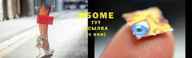 молекула духа Новозыбков