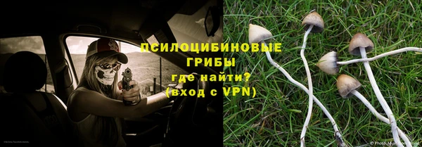 синтетический гашиш Новодвинск