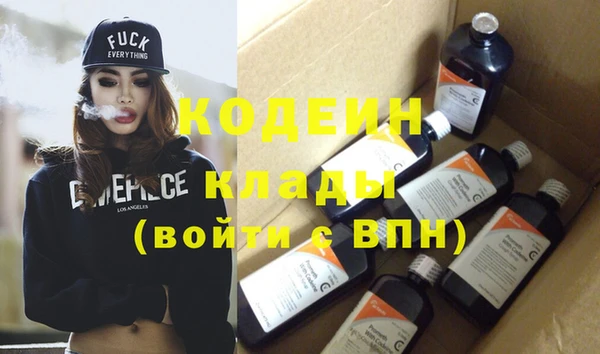 молекула духа Новозыбков