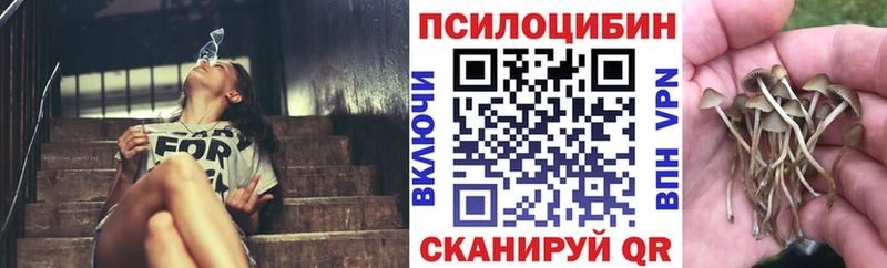 Псилоцибиновые грибы ЛСД  где купить наркоту  Калининец 